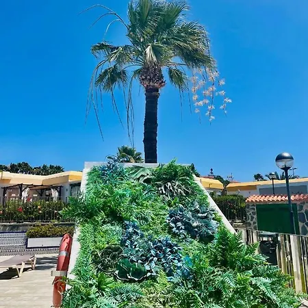 Casa Tirma 13 *