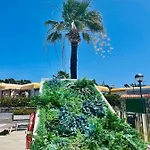 Casa Tirma 13 *